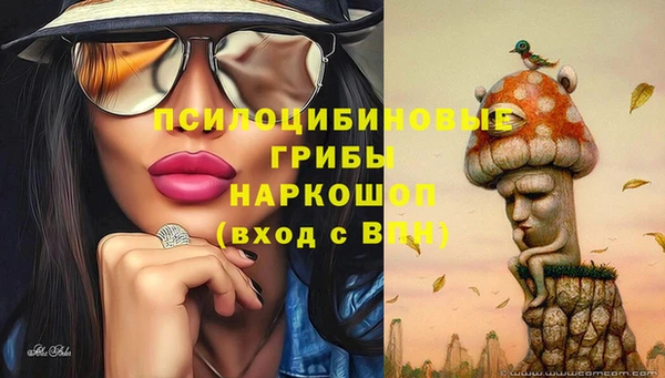 бошки Осинники