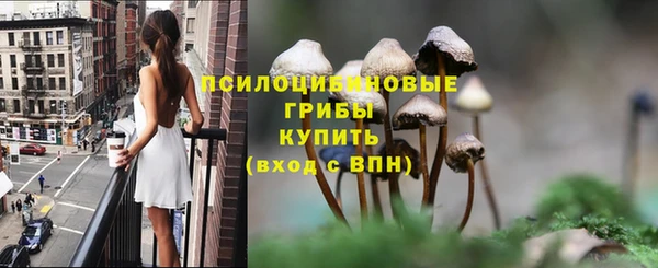 бошки Осинники