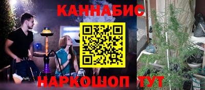 гашик Камышлов