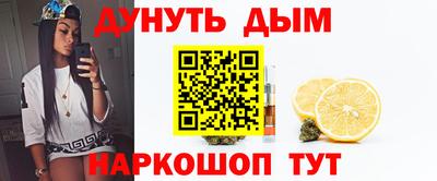 сатива Балаково