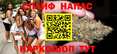 гашик Камышлов