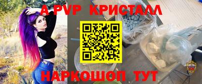 гашик Камышлов
