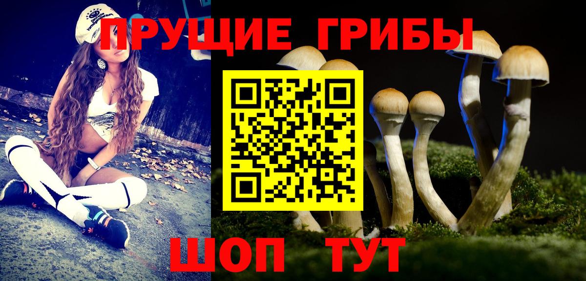 Галлюциногенные грибы Psilocybine cubensis  Вход с VPN  Торжок 