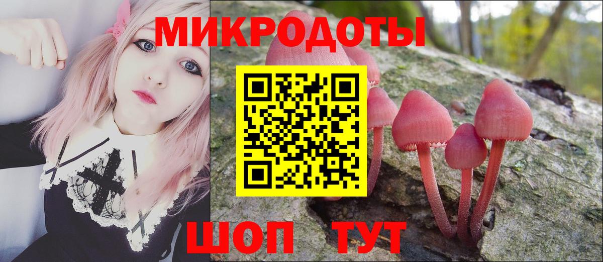 Галлюциногенные грибы Cubensis  Торжок  Галлюциногенные грибы Psilocybe 