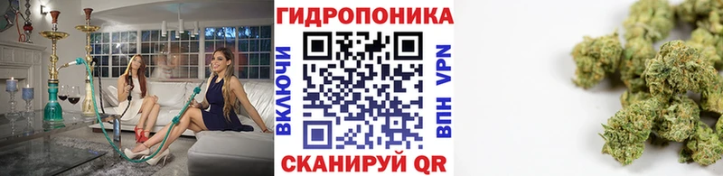 сколько стоит Торжок Бошки марихуана Bruce Banner